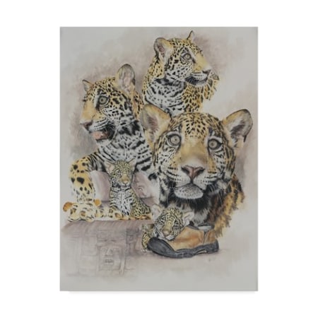 Barbara Keith 'Jaguars' Canvas Art,35x47
